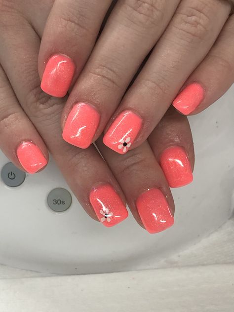 Spring Summer Coral Gel Nails Coral Holiday Nails Summer, Coral And Lavender Nails, Coral Biab Nails, Coral Shellac Nails, Beach Shellac Nails, Coral Gel Nails Short, Coral Holiday Nails, Coral Summer Nails Designs, Coral Gel Nail Designs