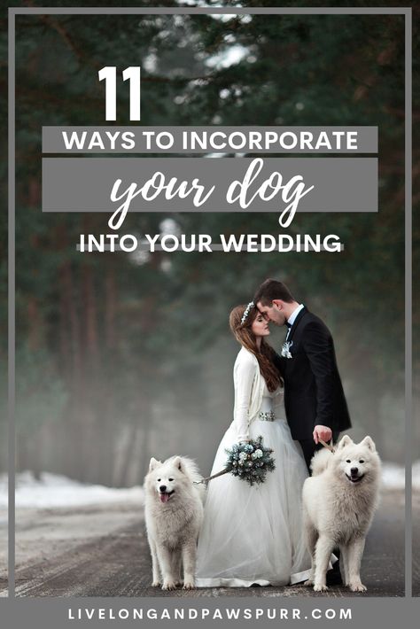 Celebrating the bond between yourself and your dog is just one of the reasons to include them in your wedding day! Here we list 11 ways to incorporate them on your special day and make them a part of the ceremony and your new family. Dogs in Weddings, Wedding Dogs, Wedding Inspiration, Pets in Weddings, Ideas for Brides #dogsinweddings #weddinginspo #petsarefamily #petlovers #isaidyes Dogs In Weddings, Pet Blog, Wedding Venue Inspiration, Wedding Pets, Dog Wedding, Family Dogs, Wedding Planning Tips, Dog Care, Your Special