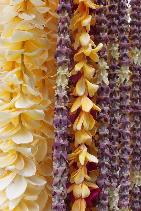 Flower Lei, Hawaiian Lei, Crown Flower, Hawaiian Flowers, Hawaii Vacation, Style Party, Island Style, Interesting Photos, Surfs Up