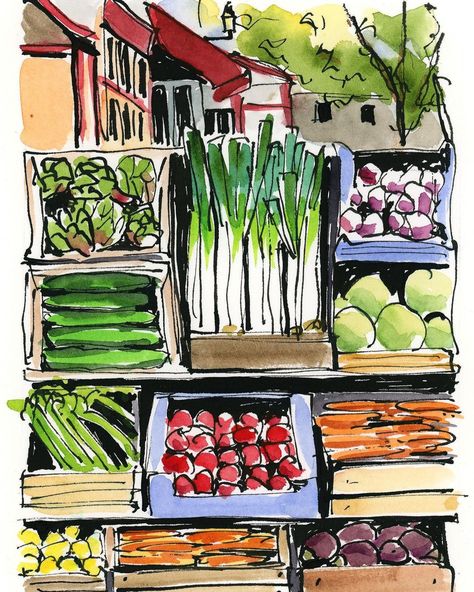 Fruit Stand Illustration, Fruit Stand Drawing, Storefront Painting, Meat Drawing, Amy Stewart, Food Watercolor, Plant Sketches, Produce Stand, Life Sketch