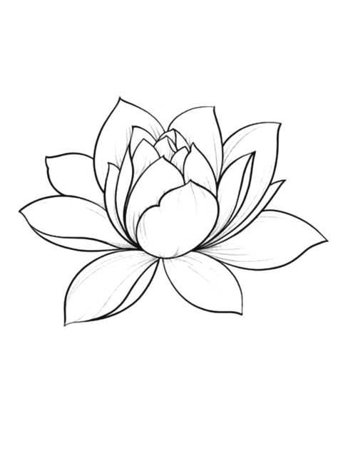 Drawing Of Lotus Flower, Lotus Flower Stencil Patterns, Lotus Outline Drawing, Flower Shading Drawing, Easy Lotus Drawing, Lily Pads Drawing, Lotus Flower Stencil, Lotus Stencil, Lily Pad Drawing