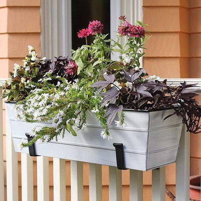 Metal Window Boxes, White Window Boxes, Window Box Garden, Classic Window, Outdoor Garden Planters, Metal Planter Boxes, Railing Planters, Window Box Flowers, Window Planter Boxes