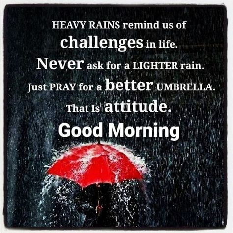 Rainy Morning Quotes, Rainy Day Quotes, Good Morning Quote, Good Morning Sunshine Quotes, Rainy Morning, Good Morning Beautiful Flowers, Good Morning Wallpaper, Good Morning Animation, Just Pray