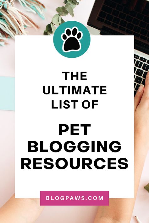 person typing on a laptop | the ultimate list of pet blogging resources Dog Influencer, Dog Boutique Ideas, Pet Influencer, Influencer Ideas, Blog Business Plan, Ugc Content Creator, Llc Business, Find Your Niche, Writing A Blog