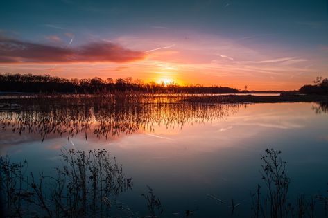 Sunset, River, Elbe, Water, Landscape, Mood, Mirroring Lanscape Photoshoot Aesthetic, Public Domain Images, Free Pictures, Aesthetic Backgrounds, Free Images, Vacation Trips, Free Photos, Stock Images Free, Art Lessons