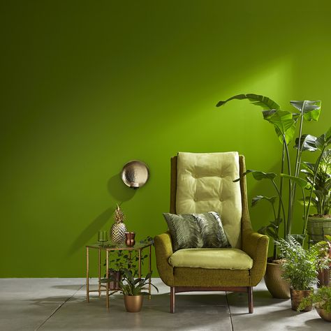 When it comes to #designing your #home, the #paint #colour you pick for your #walls has more power than you might think. It can make a #small #room feel #bigger and a #large #room feel more #intimate. For tips on choosing the right #paint #colour for the right #room, take a look at our feature. Valspar Colors, Green Wall Color, Wall Color Combination, Valspar Paint, Choosing Paint Colours, Perfect Paint Color, Lounge Ideas, Green Paint Colors, Green Walls