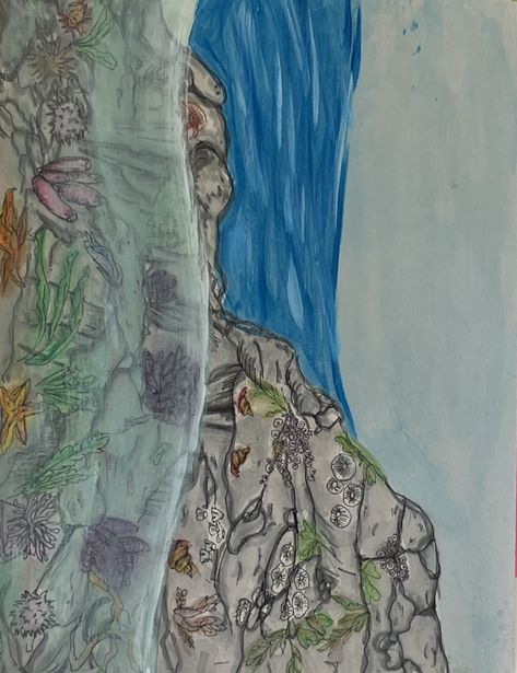 Mural Drawing, Intertidal Zone, Painting Sketch, Biome, Classroom Walls, Drawing Painting, Montessori, Rocky, Sketch