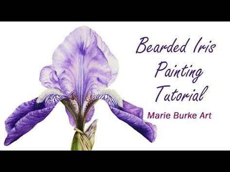 Blue Iris watercolor tutorial - simple steps to create this beautiful painting🎨 - YouTube Iris Watercolor, Iris Painting, Members Club, Watercolor Tutorial, Blue Iris, Bearded Iris, Watercolor Paintings Tutorials, Beautiful Painting, Watercolour Tutorials