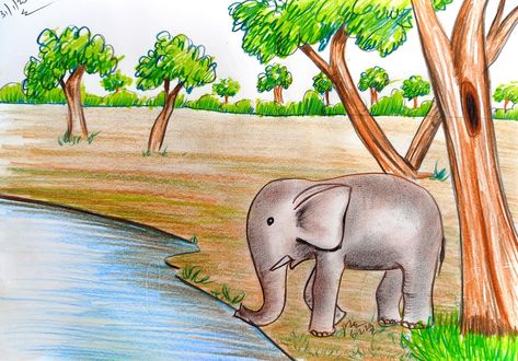 #kidsdrawing #kidsdrawingpencilcolour #pencilcolurkidsart #elephantcomposition #forestdrawng #pondwithelephantdrawing #pencilsketchelephantdrawing #drawingforkids #easyelephantdrawing #easyartforkids #compositionwithpencilcolour Forest Scenery Drawing, Drawing Competition Topics, Forest Drawing Easy, Scenery Simple, Scenery Drawing Easy, Tux Paint, Drawing Easy For Kids, Animal Sketches Easy, Drawing Pictures For Kids