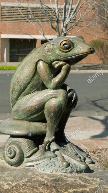 Frog sculpture Transparent Frog, Garden Frog Statue, Frog Sculpture, Amazing Frog, Garden Frogs, Ceramic Sculpture Figurative, Frog Statues, Frog Pictures, Frog Decor