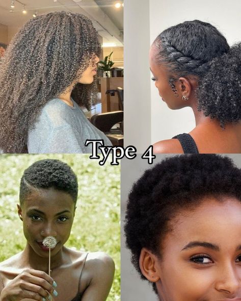 Comment your hair type below! ⬇️💬 - #curlyhair #hairtype #hairporosity #type3haircare #type4hair #naturalhair 4 Hair Type, 4 Type Hair, Hair Health Tips, Natural Haircare Products, Hair Journey Tips, Different Curls, Quick Natural Hair Styles, Bible Humor, Type 4 Hair