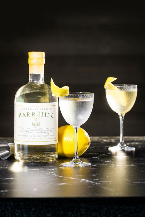 Cocktails – Barr Hill Gin Martini With A Twist, Lemon Twist Garnish, Martini With A Twist, Glass Garnish, Orange Bitters, Classic Martini, Lemon Twist, Alcohol Recipes, 2025 Vision