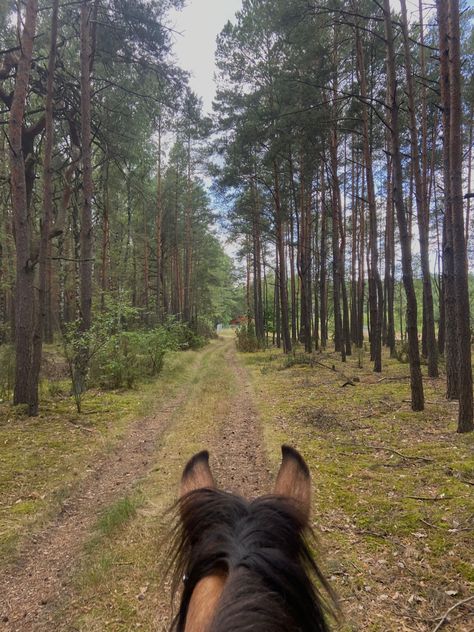 Vision Board Horse Riding, Horseback Riding English, Horse Vision Board, Bareback Horse Riding Aesthetic, Trail Ride Aesthetic, Trail Riding Aesthetic, Bareback Horse Riding, Horse Trail Ride, Aesthetic Horse Riding