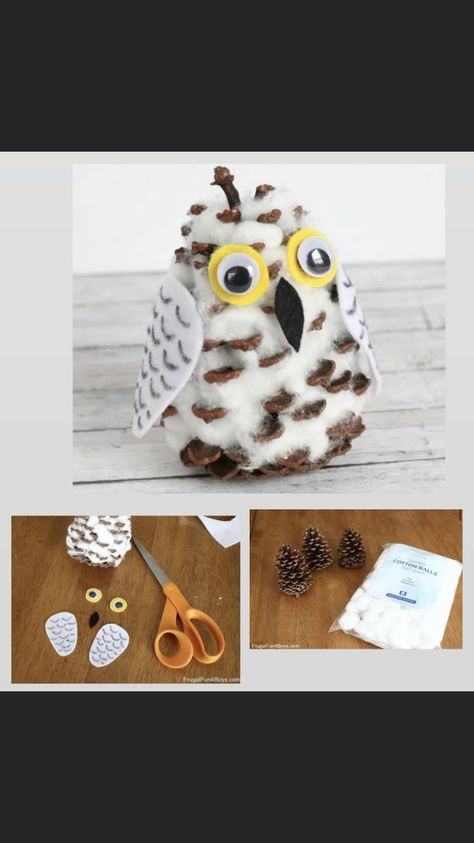 Snowy Owl Craft, Snowy Owl Art, Owl Activities, Pinecone Owls, First Grade Crafts, Pinecone Crafts Kids, Snowy Owls, Pinecone Crafts Christmas, Winter Owl