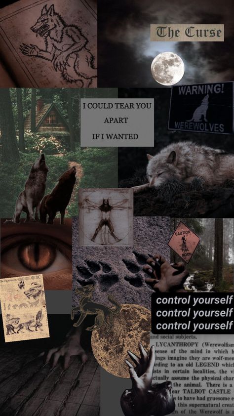 werewolf aesthetic #wolves #werewolf #earthy Teen Wolf Fan Art, Paranormal Aesthetic, Werewolf Stories, Werewolf Aesthetic, She Wolf, Canine Art, Magic Aesthetic, Season Of The Witch, Creature Feature