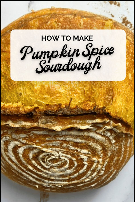 Pumpkin Spice Sourdough Bread Pumpkin Sourdough, Learn To Bake, Proofing Baskets, Swirled Bread, Recipes Learn, How To Make Pumpkin, Sourdough Bread Recipe, Sourdough Recipes, Pumpkin Pie Spice