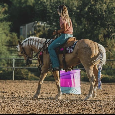 Palomino Barrel Horse, Barrel Racer Aesthetic, Pony Photography, Inspirational Horse Quotes, Dream Horse Barns, Rodeo Cowboys, Cute Horse Pictures, Palomino Horse, Barrel Racing Horses