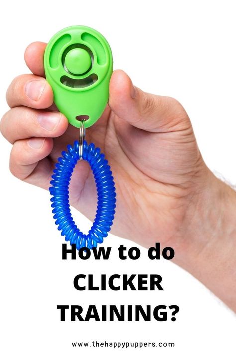 Whether you are a first-time dog guardian or you’ve had dogs before, you must have heard of clicker training at some point. Clicker training is a training method that makes the use of rewards and sounds to train the dog. Can clicker training be effective in training your dog as well? Let’s find out. #dogtraining #clickertraining #training #dogs How To Clicker Train Your Dog, Clicker Training Dog, Clicker Training Puppy, Bird Training, Dog Clicker Training, Pets Stuff, Dog Training Tools, Training Dogs, Basic Dog Training