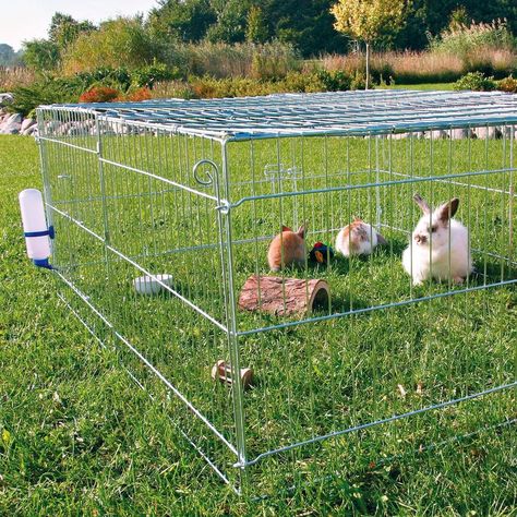 Trixie Pet Products Natura Grey Galvanized Metal Outdoor Rabbit Covered Run Outdoor Rabbit, Outdoor Rabbit Hutch, Best Egg Laying Chickens, Rabbit House, Rabbit Cages, Bunny Cages, Rabbit Hutch, Rabbit Cage, Rabbit Care