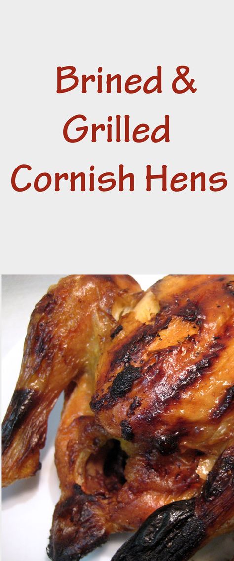 Bbq Cornish Hens, Cornish Hen Grill Recipe, Brined Cornish Hens, How To Brine Cornish Hens, Brining Cornish Hens, Brine For Cornish Game Hens, Brine Cornish Hens, Grilled Cornish Hen Recipe, Bbq Cornish Game Hen Recipes