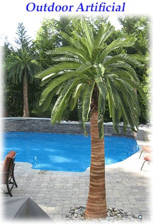 Artificial Palm Trees, Fake Palm Trees, Outdoor Artificial Palms for Sale - OASIS ILLUSIONS Fake Palm Tree, Palm Trees Landscaping, Coconut Palm Tree, Small Pool Design, Palm Tree Leaves, Artificial Plants Outdoor, Backyard Pool Landscaping, Palm Plant, Landscape Design Plans