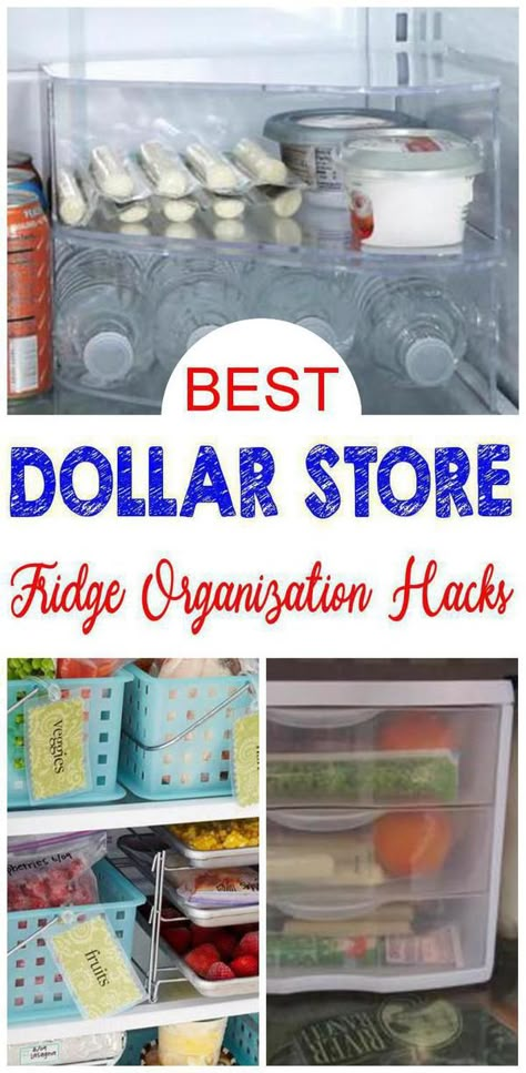 Fridge Organization Hacks, Dollar Store Organization Hacks, Fridge Organization Ideas, Best Fridge, Dollar Store Organization, Dollar Tree Organization, Craft Storage Organization, Dollar Store Ideas, Diy Organizer