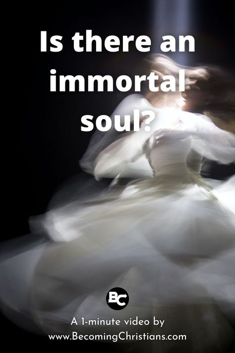 Is there an immortal soul? Immortal Soul, Thing 1