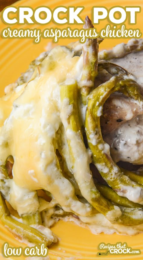 Our Crock Pot Creamy Asparagus Chicken (Low Carb) Recipe is a super simple casserole with an incredible creamy cheesy topping. Bariatric Dinner, Chicken Low Carb, Asparagus Chicken, Healthy Foo, Chicken Soups, Low Carb Crock Pot Recipes, Creamy Asparagus, Low Carb Low Fat Recipes, Pork Chicken