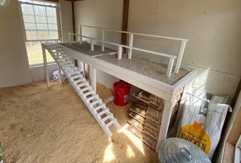 Roosting bars with sand below for easy cleaning. Chicken Roosting Bars 2x4, Roosting Bars For Chickens Diy, Roost Bars For Chickens, Sand Chicken Coop, Coop Roosting Bars, Chicken Coop Roosting Ideas, Diy Roosting Bars For Chickens, Roosting Bars For Chickens, Chicken Coop Sand