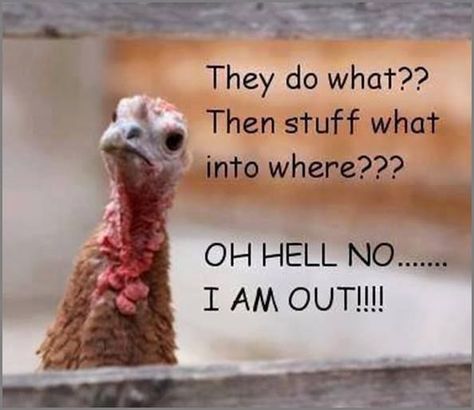 Happy Thanksgiving   Brought to you by: Baja Mamas Party Potions. http:www.bajamamas.com Funny Thanksgiving Pictures, Thanksgiving Quotes Family, Thanksgiving Meme, Party Quotes Funny, Thanksgiving Quotes Funny, Thanksgiving Jokes, Thanksgiving Pictures, Happy Birthday Quotes Funny, Thanksgiving Images