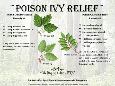 Poison Ivy Essential Oils, Poison Ivy Relief, Poison Ivy Remedies, Poison Oak, Cypress Oil, Essential Oil Remedy, Oil Remedies, Essential Oils Health, Yl Essential Oils