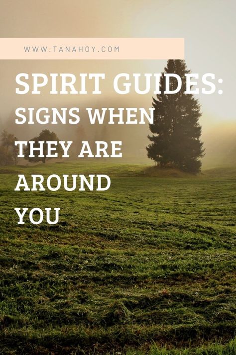 Steps Spirit Guide Signs, Flash Of Light, Spirit Signs, Spiritual Awakening Signs, Different Signs, Spirit Guide, Pure Energy, Spiritual Health, Inspirational Quotes About Love