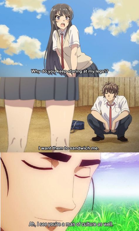 Man Of Culture, Anime Rules, Pinterest Memes, Anime Jokes, Anime Memes Funny, Bunny Girl, Funny Anime Pics, Really Funny Memes, Funny Laugh