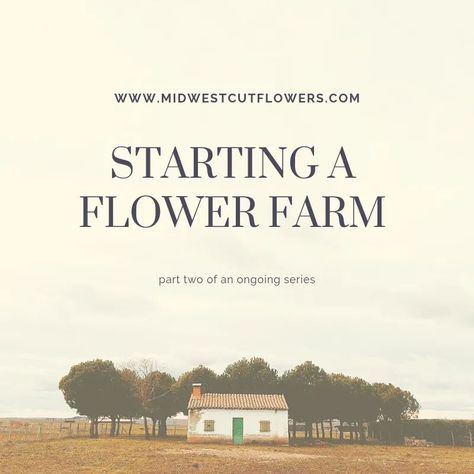 Cut Flower Farm, Farm Plans, Farm Business, Flower Business, Beautiful Farm, Flower Farmer, Cut Flower Garden, Lavender Farm, Backyard Farming