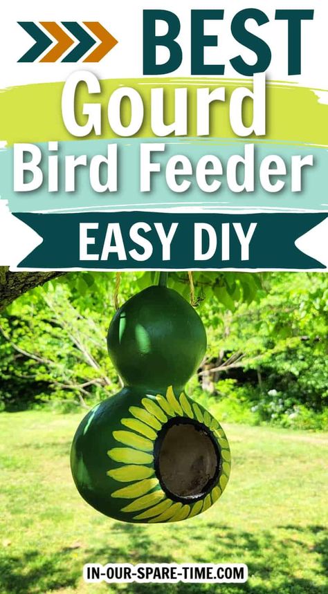 Gourd Birdhouse Ideas, Make A Bird Feeder, Large Bird Houses, Feed The Birds, Black Oil Sunflower Seeds, Downy Woodpecker, Gourds Birdhouse, What Is A Bird, House Sparrow