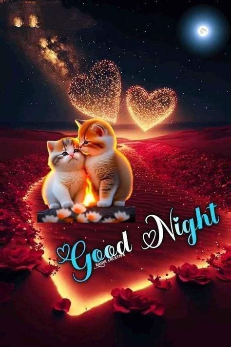 Beautiful Good Night Messages, Good Night For Him, Good Morning Rose Images, Nice Good Morning Images, Good Night Friends Images, Good Night Cat, New Good Night Images, Good Night Images, Cute Good Morning Images