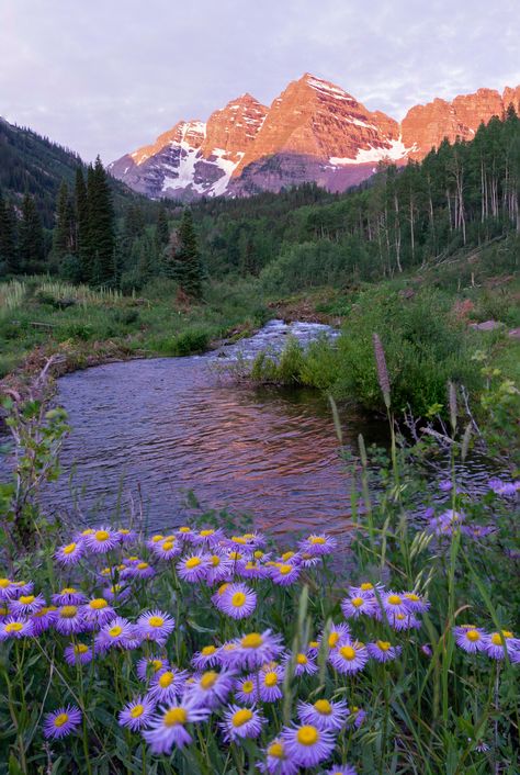 Boulder Colorado Aesthetic, Trace Drawings, Colorado Flowers, Maroon Bells Colorado, Colorado Aesthetic, Colorado Scenery, Tranquil Nature, Colorado Landscape, Colorado Summer