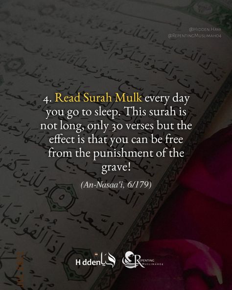 Surah Mulk Quotes, Quotes In Roman English, Quran Study, Surah Kahf, Birthday Collage, Quran Book, Muhammad Quotes, Quran Surah, Islamic Reminders