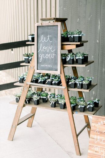 greenery rustic weddding ideas for your big day Rustic Wildflower Wedding, Colorful Rustic, Succulent Wedding Favors, Let Love Grow, Best Wedding Favors, Succulent Wedding, Future Wedding Plans, Cute Wedding Ideas, Wildflower Wedding