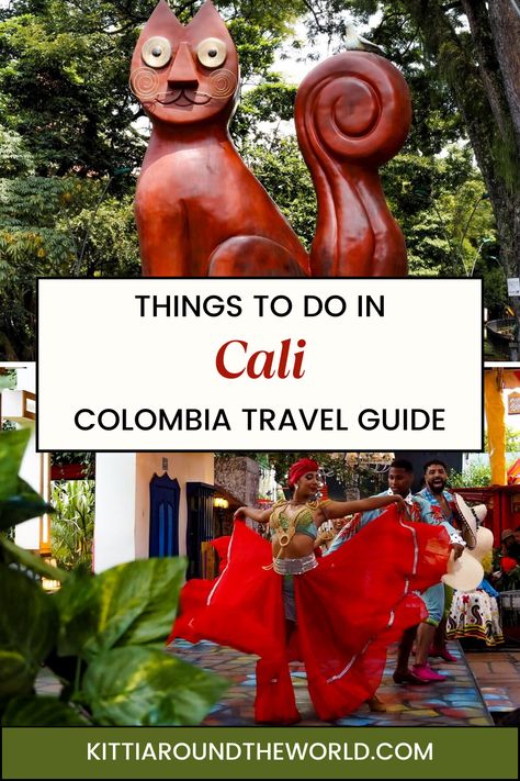 The best attractions to visit in Cali, Colombia from beautiful churches, to street art and scenic views, and the best salsa shows in Colombia. Cali Colombia | Santiag de Cali Colombia | Things to do in Cali Colombia | Salsa in Cali Colombia | Colombia City Guide | Colombia City Break | Best Cities to visit in Colombia | Cali Travel Guide Cat Park, Best Salsa, Salsa Classes, Salsa Lessons, Cities To Visit, Beautiful Churches, Colombia Travel, Cali Colombia, Parasailing