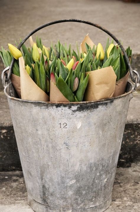 I adore this bucket <3 Spring Bridal Shower Favors, Old Bucket, Bridal Shower Party Favors, Spring Bridal Shower, Flower Bucket, Yellow Tulips, Spring Tulips, Floral Bridal Shower, Country Charm