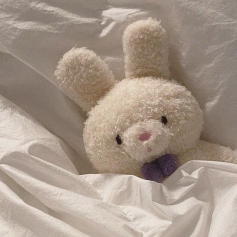 Stuffed Animal, Teddy Bear, Iphone, Bed, Pins, White