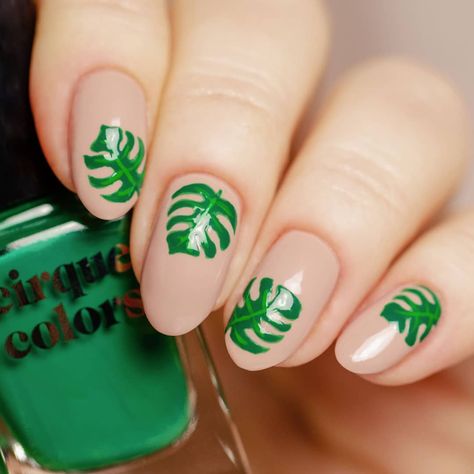 863 Likes, 8 Comments - Cirque Colors (@cirquecolors) on Instagram: “BE-A-UTIFUL #monstera leaves by @redheadnails using #Lafayette (20% off until March 31st on…” Cirque Colors, Art Deco Nails, Diva Nails, Monstera Leaves, Monstera Plant, Nail Inspiration, Dope Nails, Face Hair, Monstera Leaf