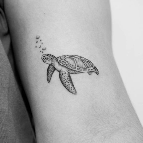 Small Sea Turtle Tattoos For Women, Small Turtle Tattoos For Women, Small Turtle Tattoo, Nature Tattoo Ideas, Beachy Tattoos, Turtle Tattoos, Sea Turtle Tattoo, Cool Nature, Turtle Tattoo Designs