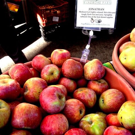 Jonathan Apple Recipes, Jonagold Apple Recipes, Stephenson's Apple Farm Recipes, Easy Baked Apples Recipe, Jumping Apple Seeds Experiment, Oven Baked Bloomin Apples, Jonathan Apples, Baked Apples Recipe, Heirloom Apple Varieties