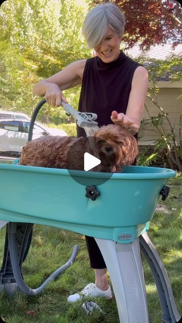 Jodie Kammerer • AMAZON HOME FINDS on Instagram: "COMMENT FOR LINKS or shop my link in bio! 
Please note: you must be following me @jodie.thedesigntwins for links to appear 🫶 

We had so much fun giving Moki a bath! This elevated pet bath & grooming station made it so easy!

No more breaking my back bending over the bathtub. 

The stairs make getting in and out easy and the harness kept Moki nice and secure! Moki seemed to enjoy his bath time more than ever before!

Comes with a pet shower nozzle that attaches to the hose for a nice gentle spray, and a drainage system so you stay dry during bath time.

I’m thinking this would be a great way to cut Moki’s hair too! Trying that for next time 😀

#amazonhome #amazonpet #petcare #amazonfinds #petgrooming" Grooming Station, Shower Nozzle, Drainage System, Amazon Home, Bath Time, Pet Grooming, Bending, Pet Care, You Must