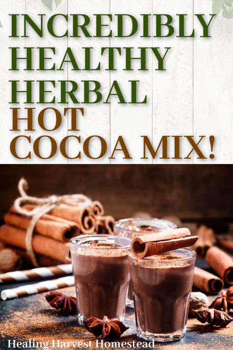 Mmmm. Spiced hot cocoa mix: That's what you need to warm you up on a chilly day! And if it's still warm out? Well, then you can ice it, too. Find out how to make this healthy and easy hot chocolate blend mix with my recipe using herbs and spices. You'll make this over and over! #hotchocolate #chocolate #chocolatedrink #healthydrink #healthy #spicy #cocoa #drink #mix #blend #chocolaterecipe #recipe #fall #falldrink #hotdrink Diy Hot Cocoa Mix Recipes No Dry Milk, Healthy Cocoa Drink, Mexican Hot Cocoa Mix Recipe, Healthy Hot Cocoa Mix Recipe, Healthy Hot Chocolate Mix Recipe Dry, Dry Hot Cocoa Mix Recipe, Dark Hot Chocolate Mix Recipe, Dark Chocolate Hot Cocoa Mix Recipe, Diy Hot Cocoa Mix Recipes