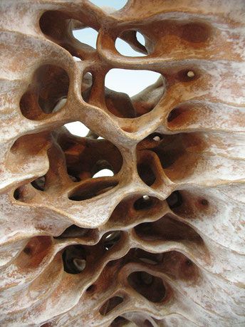 Natural Form Art, Organic Sculpture, Ceramic Lantern, Organic Structure, Organic Ceramics, Natural Structures, Organic Art, Texture Inspiration, Organic Pattern