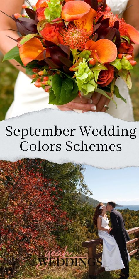 September Wedding Colors Schemes Wedding Flowers Fall Bouquet, Colors For September Wedding, Fall Wedding Ideas Colors September, September Wedding Ideas Color Palettes, Wedding Table Linen Ideas Color Palettes, September Wedding Colors Elegant, Fall Wedding Color Palette September, September Wedding Colours, Wild Flower Wedding Theme Color Schemes Bridesmaid Dresses