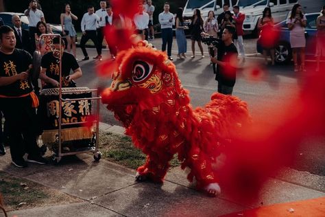 Chinese Lion Dance, Lion Dance, Fairytale Wedding, Lion